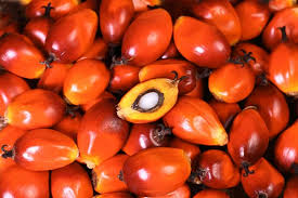 Ibom Oil Product